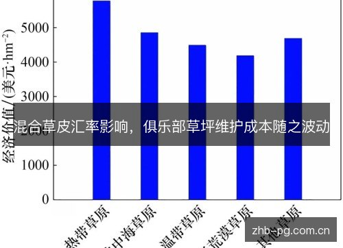 混合草皮汇率影响,俱乐部草坪维护成本随之波动 混合草皮汇率影响,俱乐部草坪维护成本随之波动